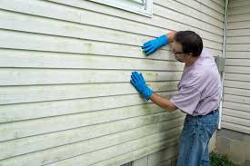 Best Vinyl Siding Installation  in Montura, FL